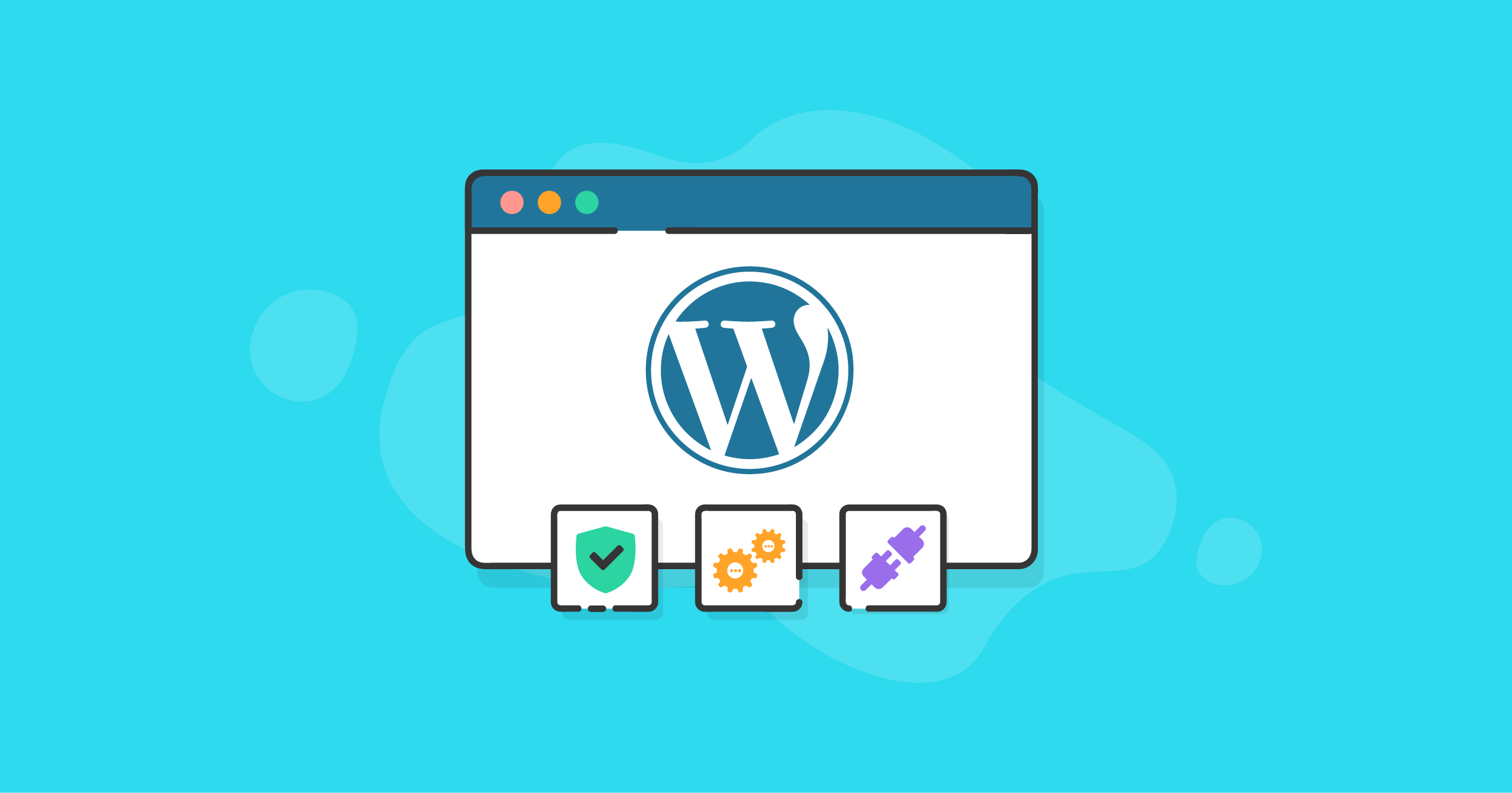 Five Best Practices To Manage Your WordPress Website - Magetop Blog